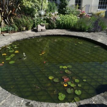 Pond Safety Ltd